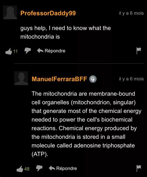 Ah Yes Pornhub The Educatory Online Classroom Nudes Pornhubcomments Nude Pics Org