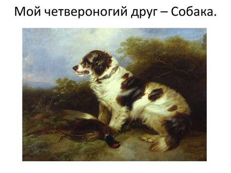 Мой четвероногий друг – Собака - презентация онлайн