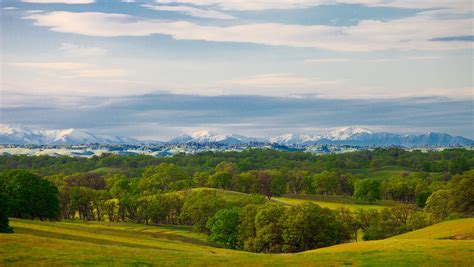 Anthony Dunn Photography Spring In The Foothills