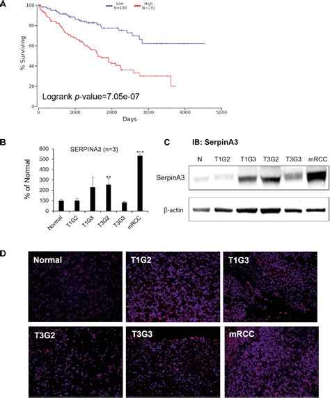 Figure 4 from Using Comparative Proteomics to Identify Protein ...