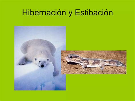 Ppt Adaptaciones Origen De La Tierra Ppt