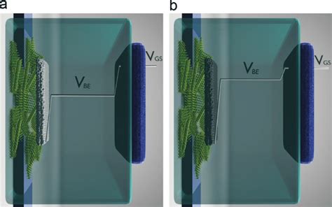 Schematics representation demonstrating the applied gate voltage ...