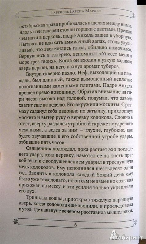 Проклятое время — Габриэль Гарсиа Маркес купить книгу Киев (Украина ...