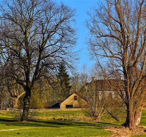 Services Summit Land Management