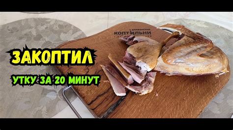 Утка Холодного КОПЧЕНИЯ! Закоптил за 20 минут! Электростатическая ...