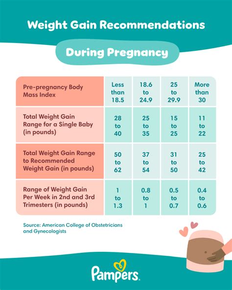 Weight Gain Chart While Pregnant