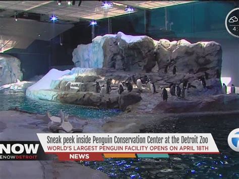 Live Penguin Cam, plus tour though new center