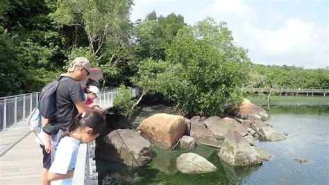 Adventures With The Naked Hermit Crabs That S A Wrap