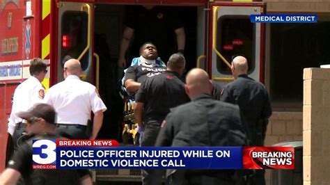 Police officer injured responding to domestic violence call