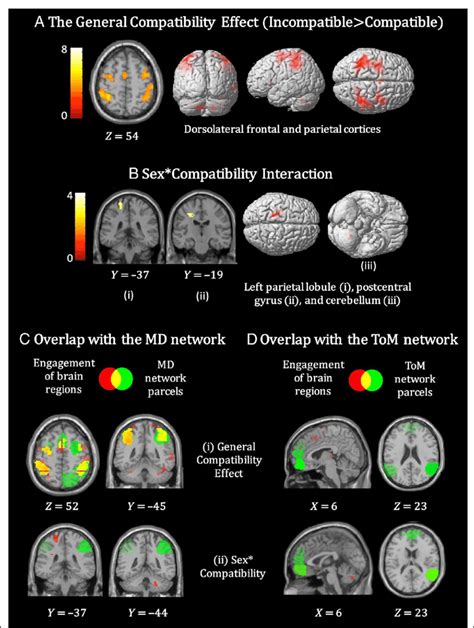 General Compatibility Effect And Sex × Compatibility Interaction In The Download Scientific