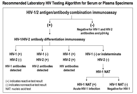 Cdc Nixes Hiv Western Blot In Latest Testing Guidelines Hiv And Id