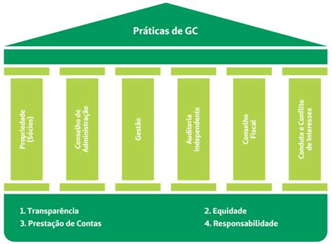 Onze Princípios Básicos Da Governança Eficaz Para O Desenvolvimento Sustentável