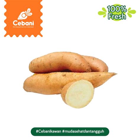Jual Ubi Kuning 2 Kg Cebani Shopee Indonesia