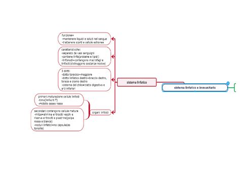 Sistema Immunitario E Linfatico Schemi E Mappe Concettuali Di
