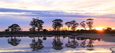 Lake Grace Central Wheatbelt Visitor Centre