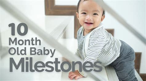 10 Month Old Baby Development Milestones, 300K+ Babies Achievement Revealed