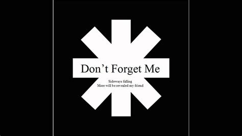 Dont Forget Me Red Hot Chili Peppers