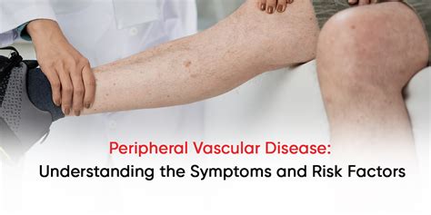 Peripheral Vascular Disease Understanding The Symptoms And Risk