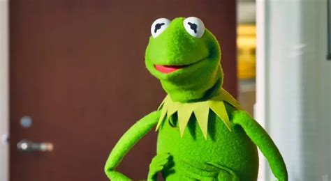 Kermit From The Muppet Movie Charactour