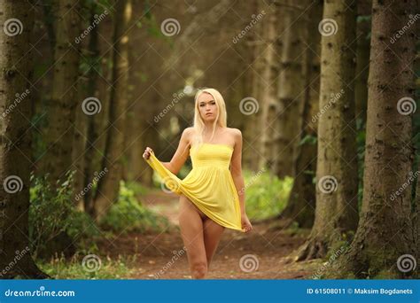 Portrait Of Nude Elegant Woman With Luxurious Hair Stock Image Image Of Fairy Fresh