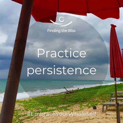 Practice persistence. Never give up. - FINDING THE BLISS