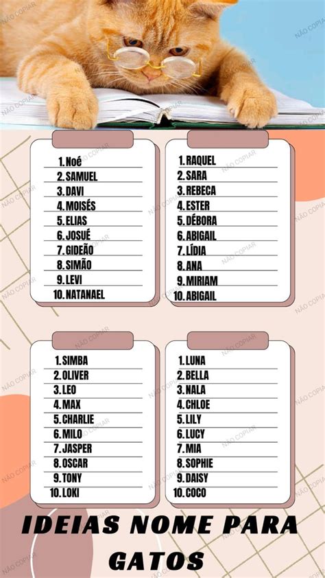Nomes De Gato Feminino - Nomes De Gatas Criativos _ Nomes Para Gatos Fofos – EVMR