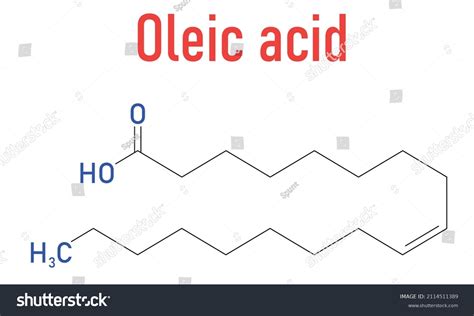 Oleic Acid Omega Cis Fatty Acid Stock Vector Royalty Free