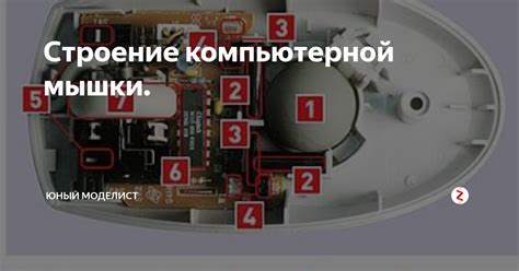 Строение компьютерной мышки. | Юный моделист | Дзен