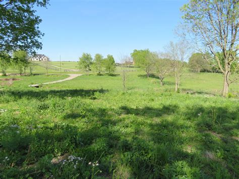 1110 Craig Xing, Winchester, KY 40391 - See Est. Value, Schools & More