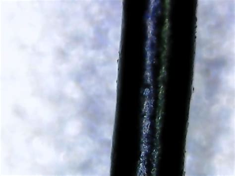 Китайский микроскоп | Пикабу