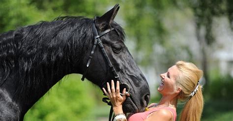 Study Reveals Horses Can Directly ‘Talk’ to Humans - Horsey Hooves