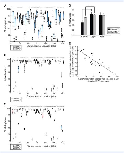 Figure 1 From Haploinsufficiency Of The Paternal Effect Gene Dnmt3l