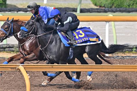 【天皇賞春・1週前追い切り】ドゥレッツァは3馬身追走から併入フィニッシュ 負荷十分の稽古に尾関調教師「目的はクリアできたかな」東スポ競馬