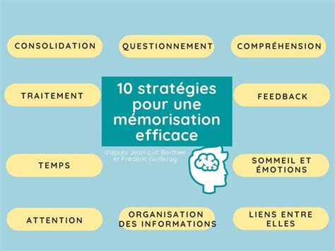 M Morisation Efficace Strat Gies Des Neurosciences