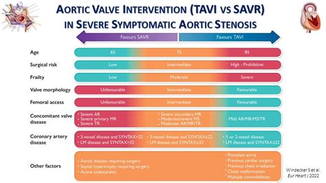 Create the future of TAVI - Optimisation of the procedure and patient ...