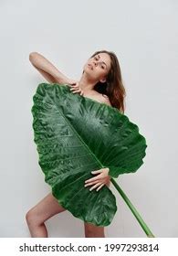 Woman Naked Body Palm Leaf Exotic Stock Photo Shutterstock