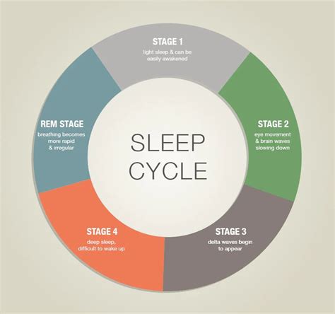 Facts On The Sleep Cycle Of A Kid That Enhances A Childs Brain Development