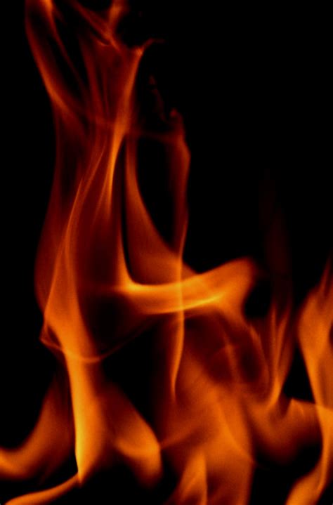 Hot Crime Scene Investigations Author Jennifer Chase