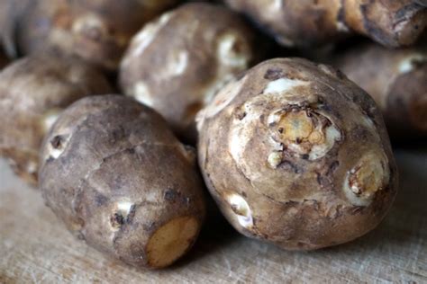 Топинамбур: полезные свойства овоща-пребиотика