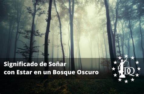 Significado De So Ar Con Estar En Un Bosque Oscuro