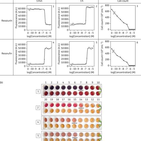 Drug Susceptibility Assays With Resazurin And Resorufin A T