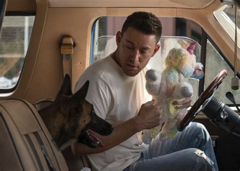 review channing tatums           kick  dog datebook