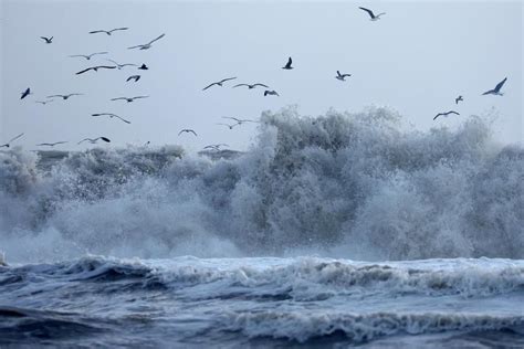 How Ocean Currents Affect the Climate