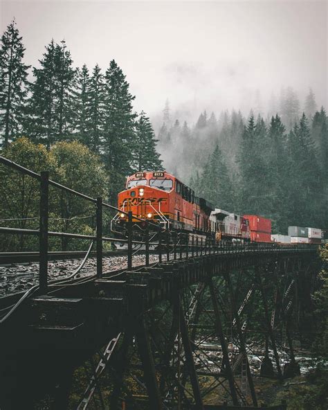 Fuck Your Problems On Tumblr