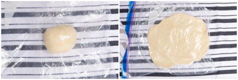 homemade udon noodles   cookbook