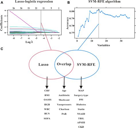 Lasso Cox Regression A Svm Rfe Model B And The Overlapping