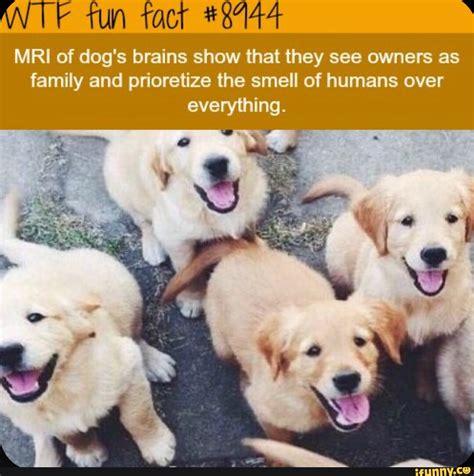 You Ok Stranger Im Horny Stranger Yes Stronger Okay You Wanna Go Ts Or Me You Il Stan