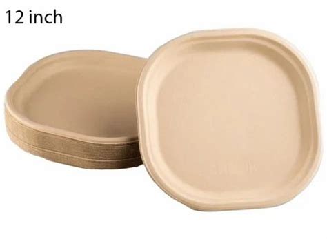 12 Inch Biodegradable Paper Plate At Rs 5 96 Piece Bengaluru ID