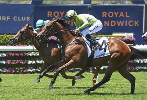 Hellbent Filly Triumphs In Hot YO Race At Randwick Yarraman Park Stud