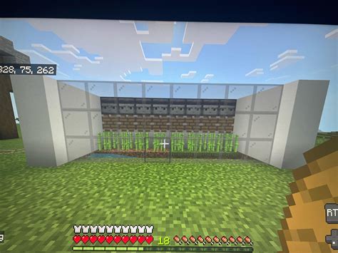 how to farm sugar cane in minecraft 4